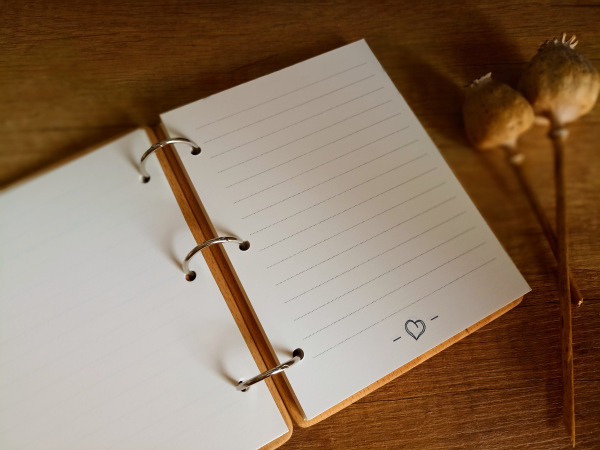 Cestovateľský zápisník,typ 2 2